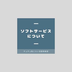 ソフトサービスについて